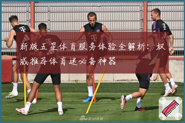 新版五星体育服务体验全解析:权威推荐体育迷必备神器