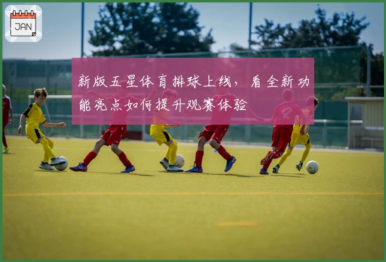 新版五星体育排球上线，看全新功能亮点如何提升观赛体验